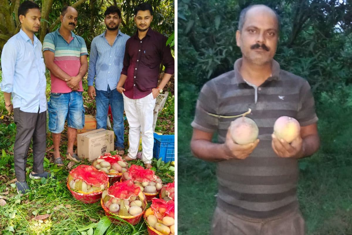राष्ट्रीय समागम में अमरपुर के ‘अरुणिमा’ को मिला प्रथम स्थान, रंगीन आम ने बढ़ाया बांका का मान