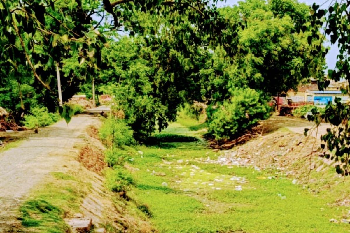 बक्सर में रोहिणी नक्षत्र बीता, फिर भी चौसा सीवीसी कैनाल में पानी नहीं, किसानों की बढ़ी चिंता