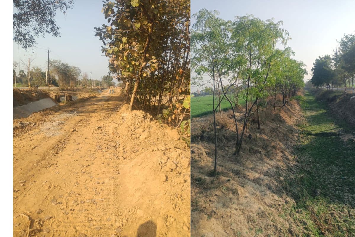 नालंदा में हरियाली पर 112 करोड़ खर्च करने के बाद भी विभाग के पास रिकार्ड नहीं, आखिरकार कितने पेड़ जिंदा बचें