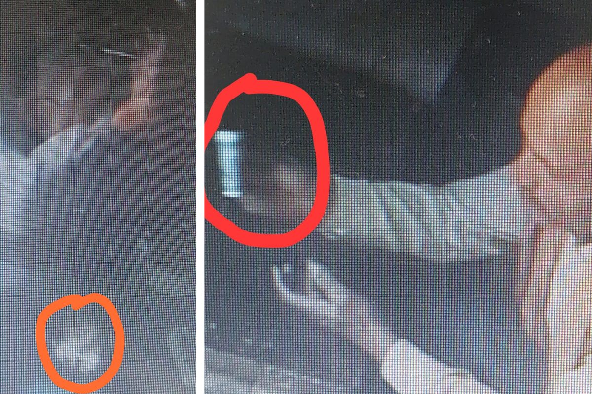 चैनपुर में ‘जीरो टॉलरेंस’ नीति पर सवाल, आवास सहायक का पैसे लेते वीडियो वायरल