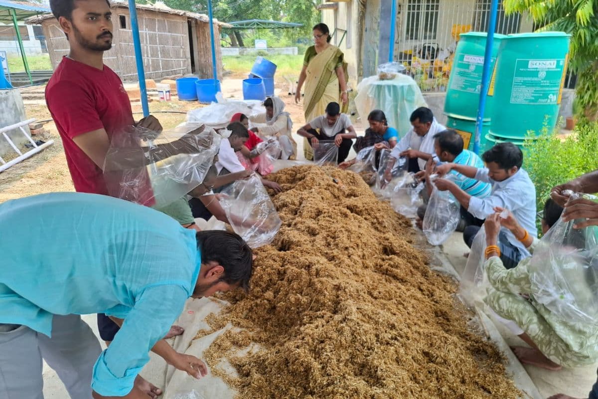 केवीके में मशरूम उत्पादन पर व्यावहारिक प्रशिक्षण, 30 किसानों को दी जा रही जानकारी
