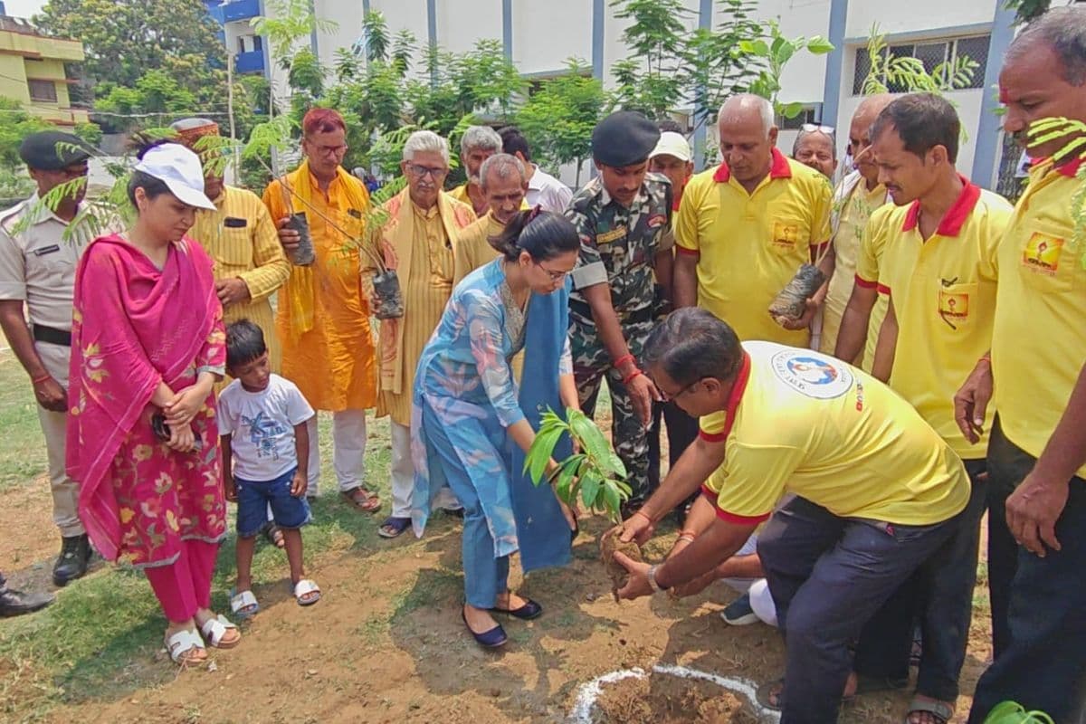 डीएम ने किया पौधरोपण, युवाओं को हरित अभियान से जुड़ने का दिया संदेश
