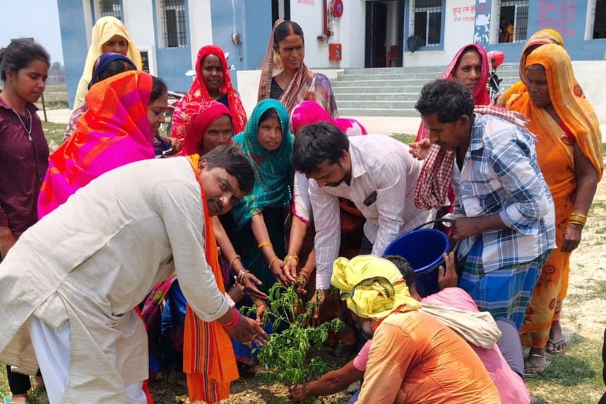 विश्व पर्यावरण दिवस पर त्रिलोकपुर पंचायत को ग्रीन विलेज बनाने का लिया गया संकल्प
