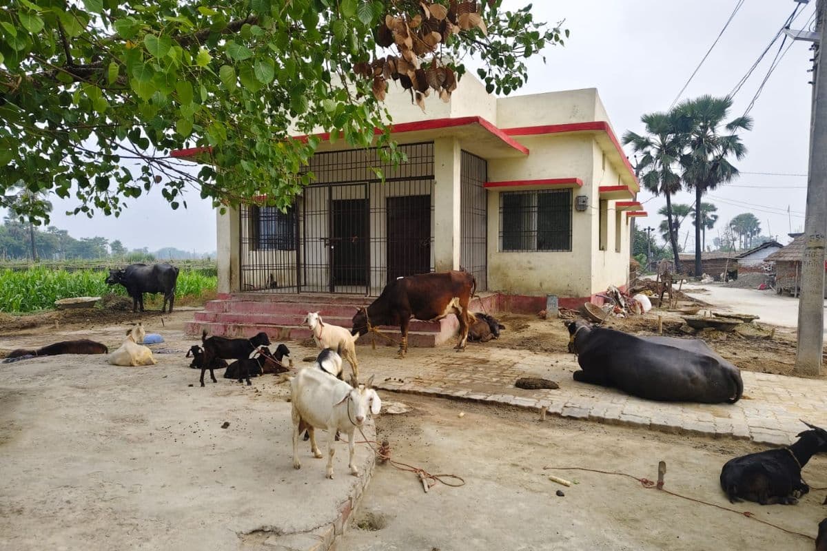 मिश्रौलिया अफजलपुर पंचायत में मनरेगा भवन की हालत दयनीय, ग्रामीणों में नाराजगी