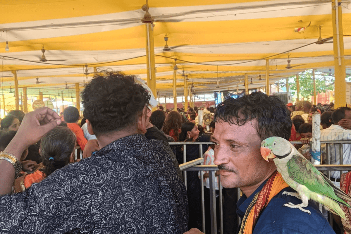 राजगीर मलमास मेला में अजूबा, ब्रह्मकुंड में पुण्य स्नान के लिए लाइन में लगा ‘तोता’; कंधे पर बैठ पूरी की जिग-जैग कतार