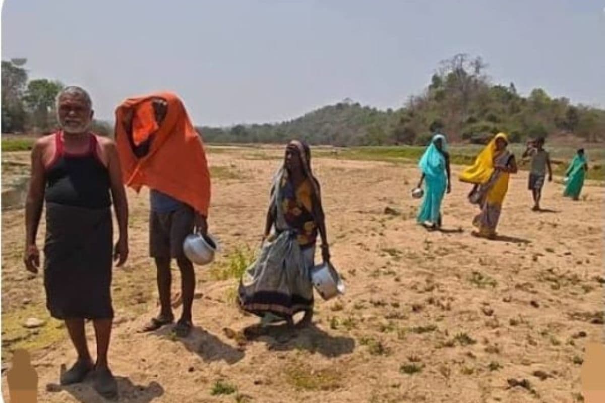 नवादा: भीषण जल संकट से मेसकौर बेहाल, सूख गईं नदियां; किसान और पशुपालक परेशान