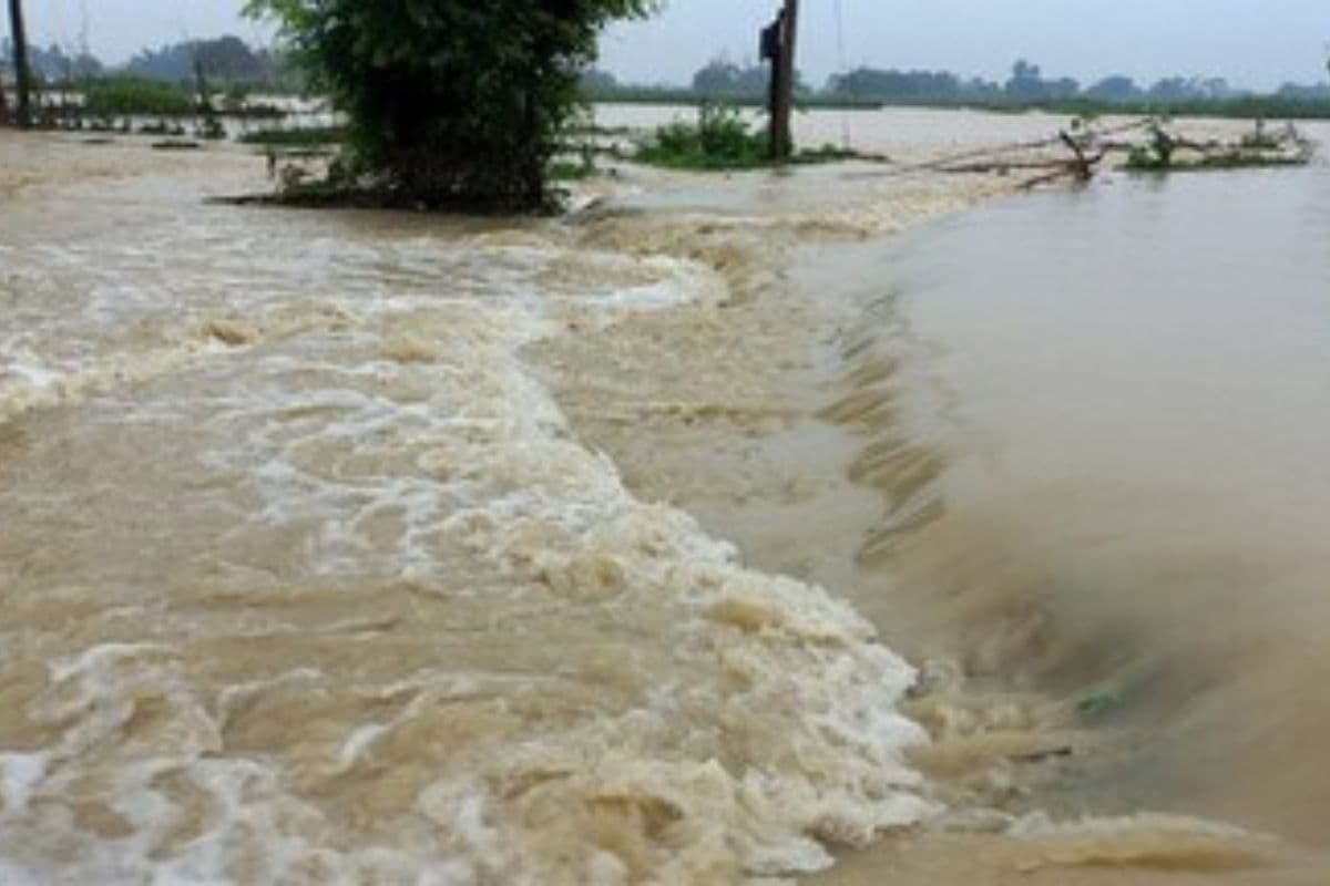बिहार के इस जिले में बाढ़ को लेकर अलर्ट, अधिकारियों ने इलाकों की जांच कर दिए जरूरी निर्देश
