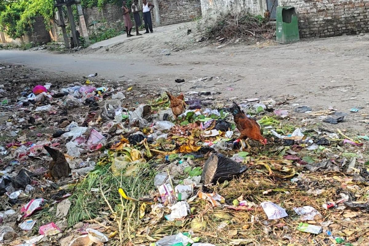 वैशाली में सड़क पर कचरा का अंबार, महुआ नगर परिषद वार्ड 20 में पड़े कचरे और बदबू से राहगीर परेशान