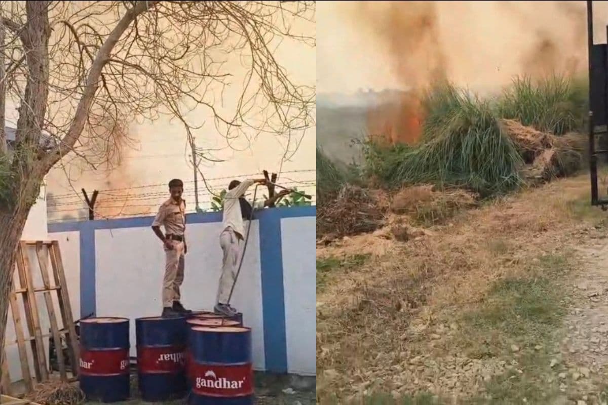 झाड़ियों में लगी आग से विधुत उपकेंद्र तक पहुंचीं लपटें, सीवान में बिजली तार और पेड़-पौधे जलकर राख