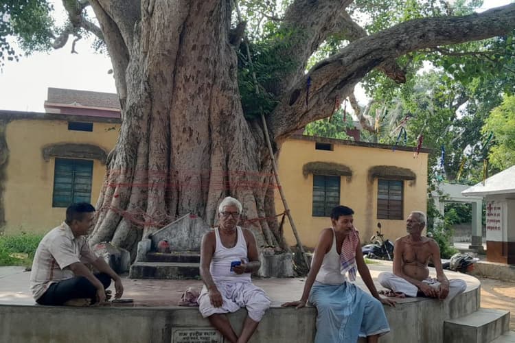 जेठ की तपती दुपहरी में सुकून के मसीहा बने बरगद और पीपल, बांका के ग्रामीण जीवन को दे रहे राहत