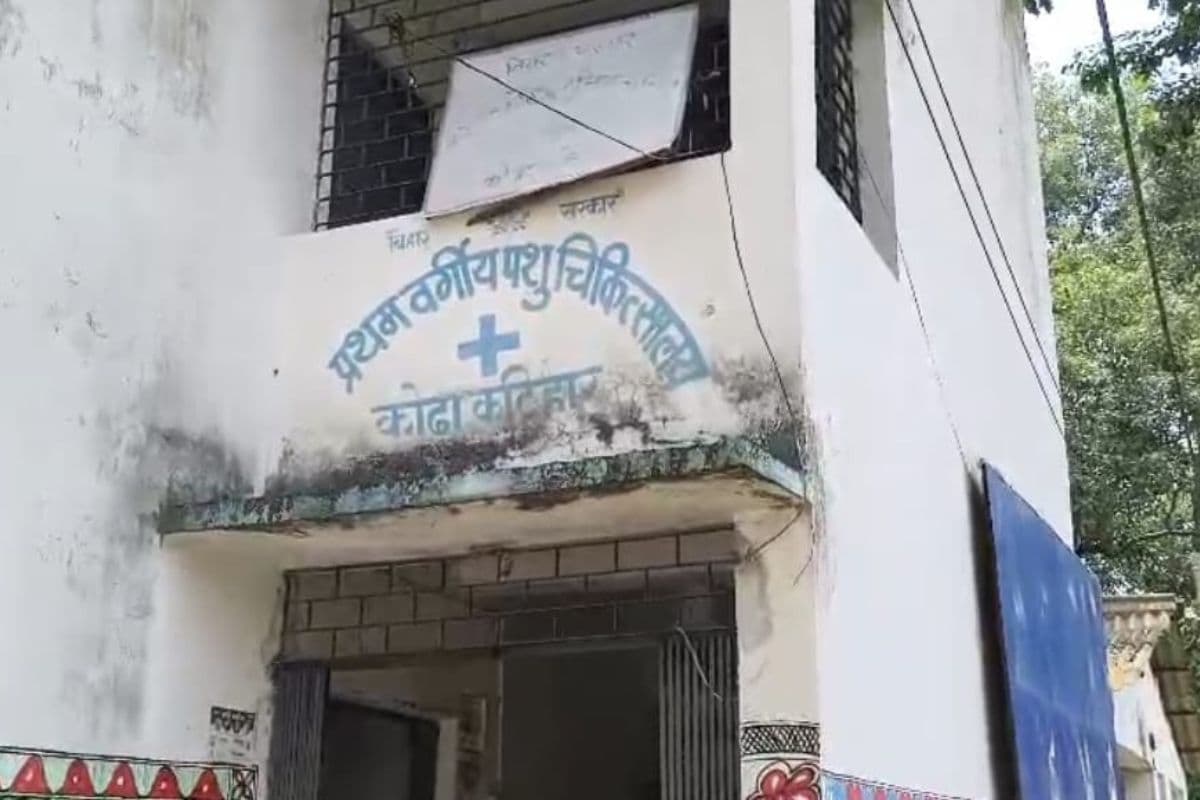 कोढ़ा पशु चिकित्सालय में मुफ्त दवाओं का टोटा, सादे कागज पर पुर्जा लिख बाजार भेज रहे डॉक्टर, गरीब पशुपालक परेशान