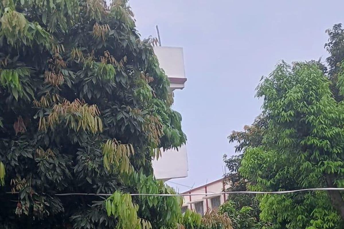 ‘मिनी दार्जिलिंग’ में ठंडी झोंकों संग बूंदाबांदी से पूर्णिया कूल-कूल, चादर तानकर सोए लोग