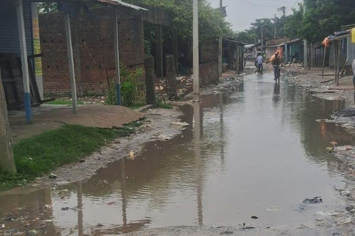 टेढ़ागाछ के फुलबरिया बाजार में नारकीय स्थिति: बारिश के बाद सड़कों पर पसरा कीचड़