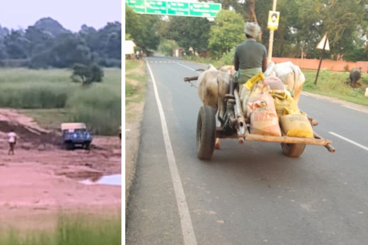 पंजवारा में बालू माफियाओं ने निगला चीर नदी का तटबंध, कचमचिया पातर टोला पर विस्थापन का संकट गहराया