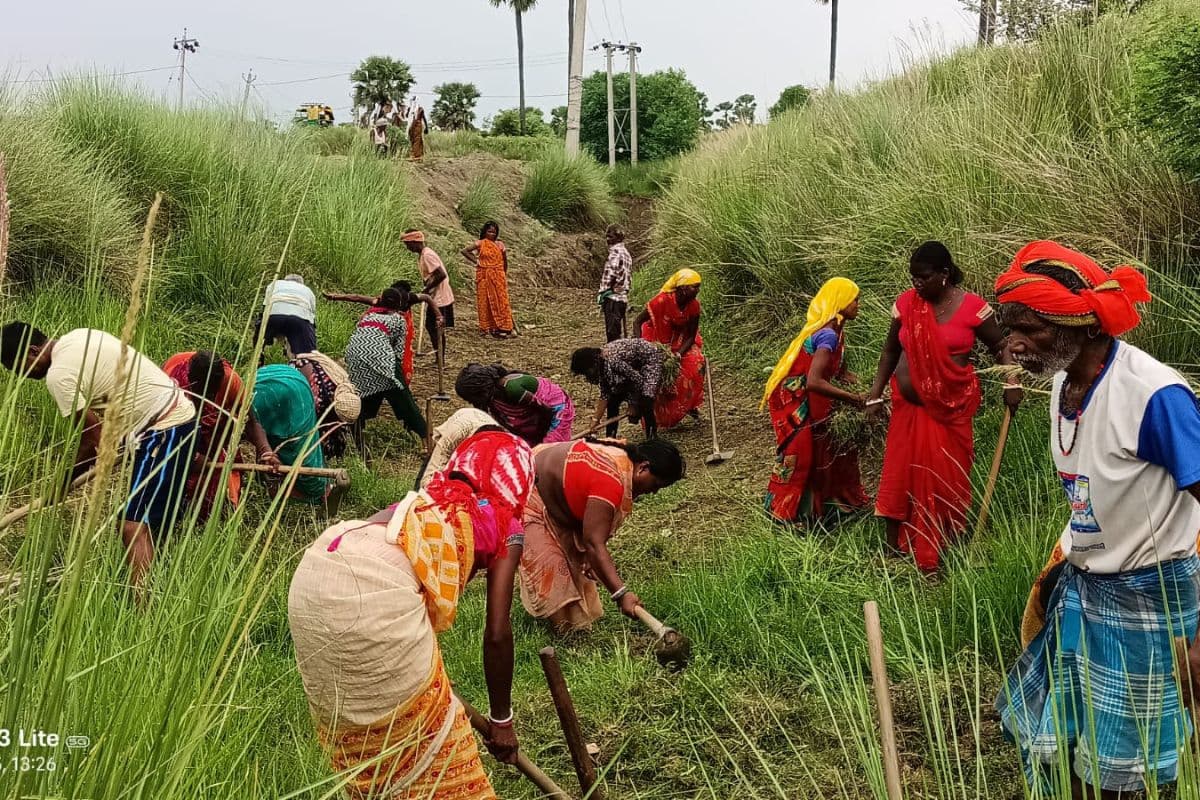 नालंदा में मनरेगा में 7.66 लाख मजदूर पंजीकृत, लेकिन 38% जॉब कार्ड पड़े निष्क्रिय