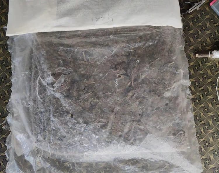 सुपौल में 1.95 किलो गांजा के साथ तस्कर गिरफ्तार, पुलिस छापेमारी में एक आरोपी फरार