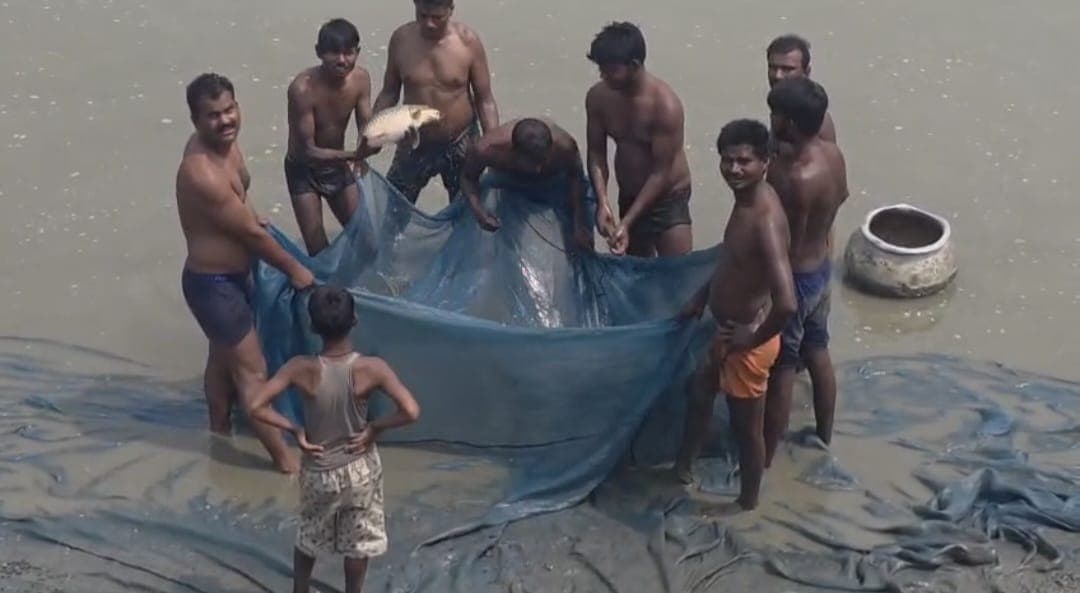 पनामा विल्ट के बाद मत्स्य पालन बना किसानों का सहारा, सालाना लाखों रुपये कमा रहे किसान