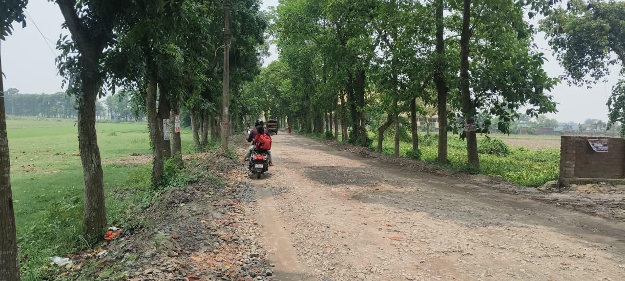 कोलासी-सोनवर्षा सड़क निर्माण में देरी, लाइसेंस रद्द करने की उठी मांग