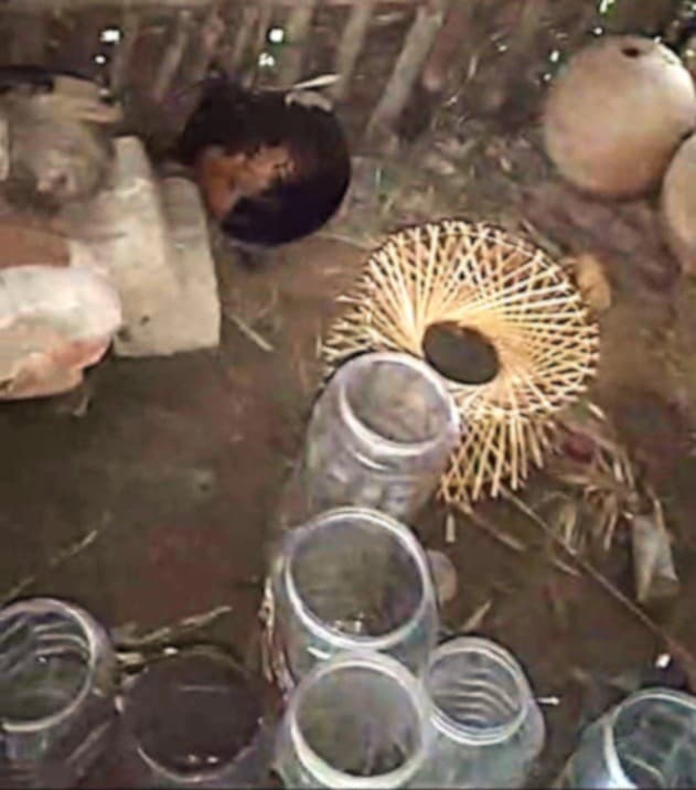 डंडखोरा में शराब के खिलाफ कार्रवाई, 35 लीटर देसी शराब के साथ महिला गिरफ्तार