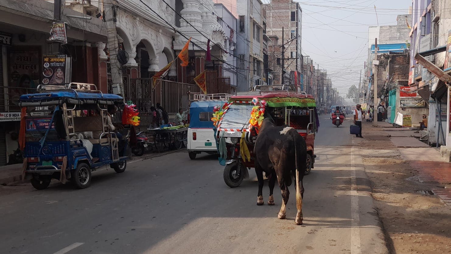 लखीसराय की सड़कों पर आवारा सांढों का आतंक, हर समय बनी रहती है हादसे की आशंका