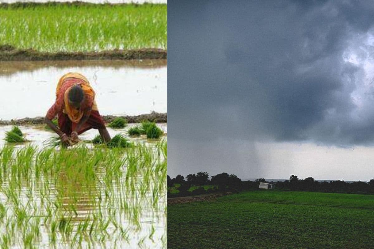 गोपालगंज में झमाझम बारिश से मौसम सुहाना, किसानों के लिए वरदान बनी बरसात