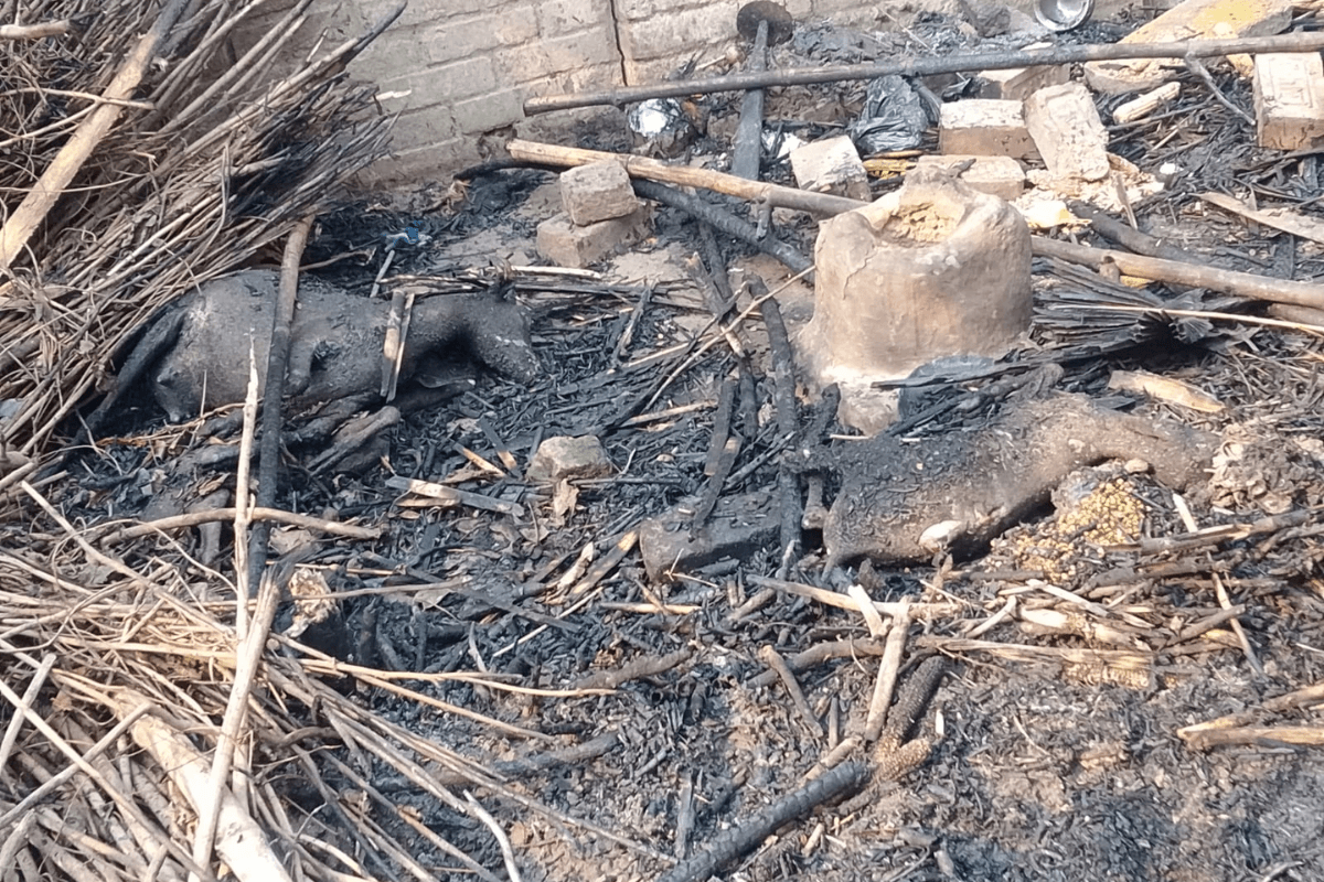 बछवाड़ा में चूल्हे की चिंगारी से दो घरों में लगी भीषण आग, एक महिला और तीन बकरियां झुलसीं, सब कुछ राख
