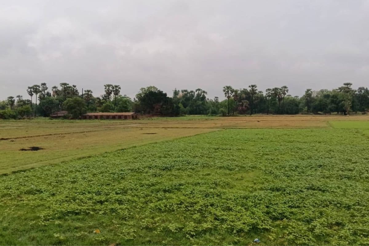 गोड्डा में खरीफ सीजन की तैयारी तेज, खेतों में बढ़ी हलचल