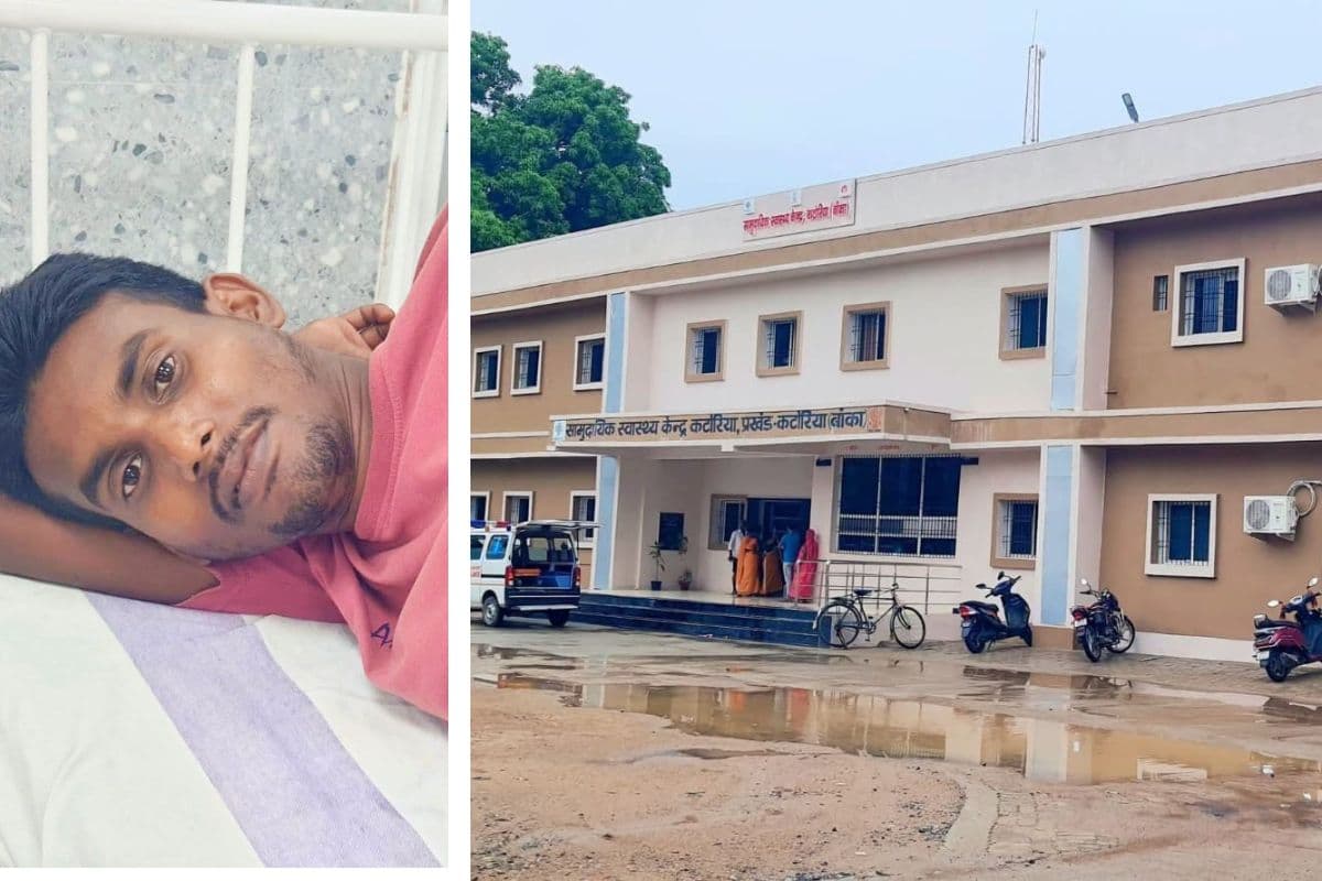 पलंग पर सो रहे युवक को बिच्छू ने मारा डंक, हालत बिगड़ने पर अस्पताल में भर्ती