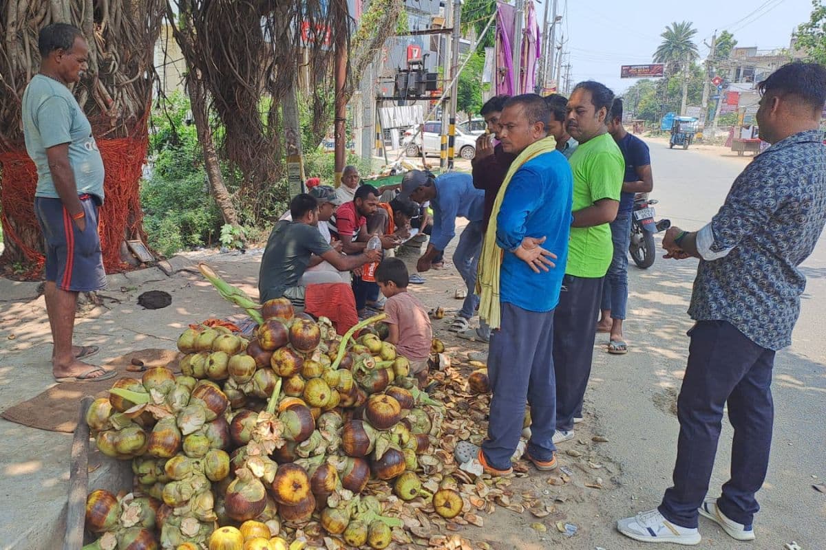 भीषण गर्मी में ताड़गोला बना लोगों की पहली पसंद, मुंगेर के चौक-चौराहों पर बढ़ी मांग