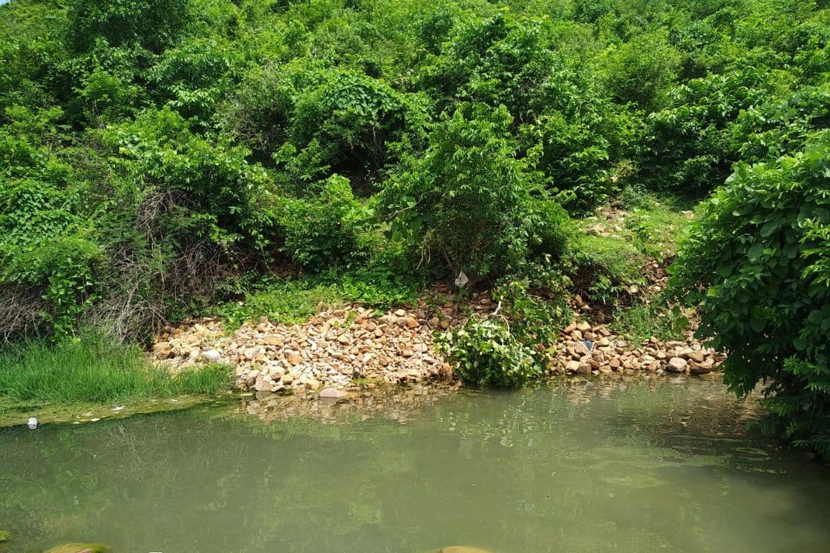 टाली बिशनपुर में पानी पहुंचा, तो टाली झरना के विकास की भी जगी आस