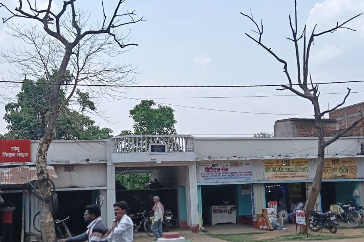 चांदन ब्लॉक गेट पर खतरे की जड़ें, सूखे पेड़ बन रहे हादसे का कारण
