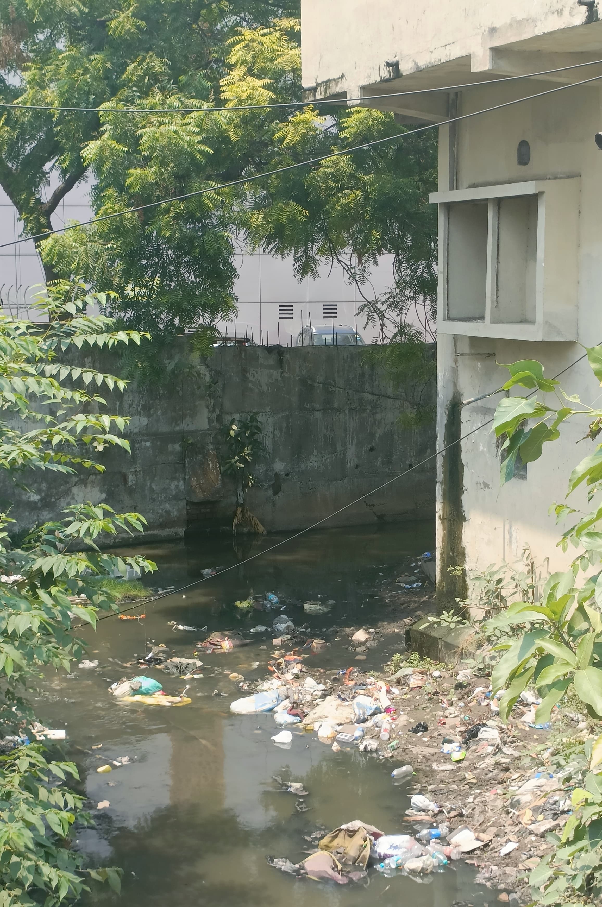 Bokaro News : अतिक्रमण का शिकार है सिंगारी जोरिया
