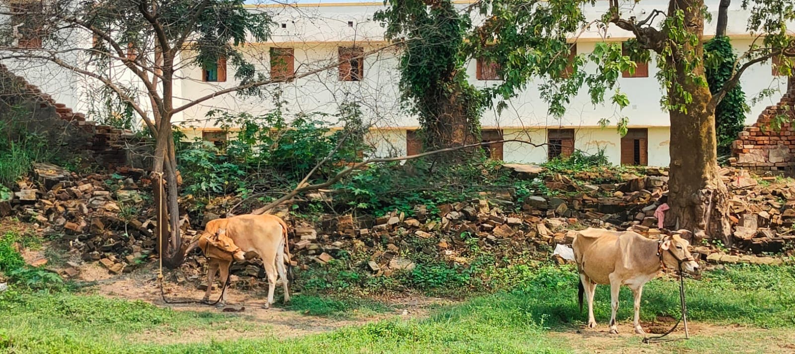 पीजी महिला छात्रावास दो की दीवार टूटने से छात्राएं दहशत में
