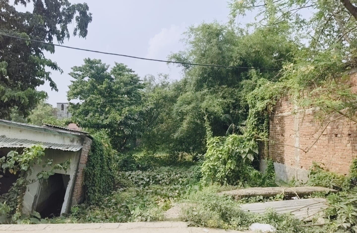 बारसोई की जीवनरेखा बनी नहर पर अतिक्रमण का शिकंजा