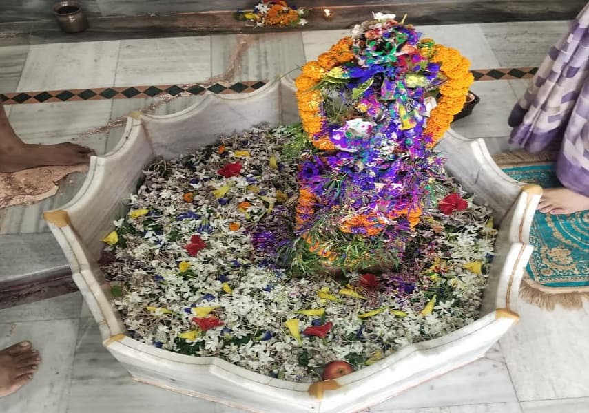 सरकारी पूजा के बाद खुले पट, शिव शक्ति दरबार में उमड़े श्रद्धालु