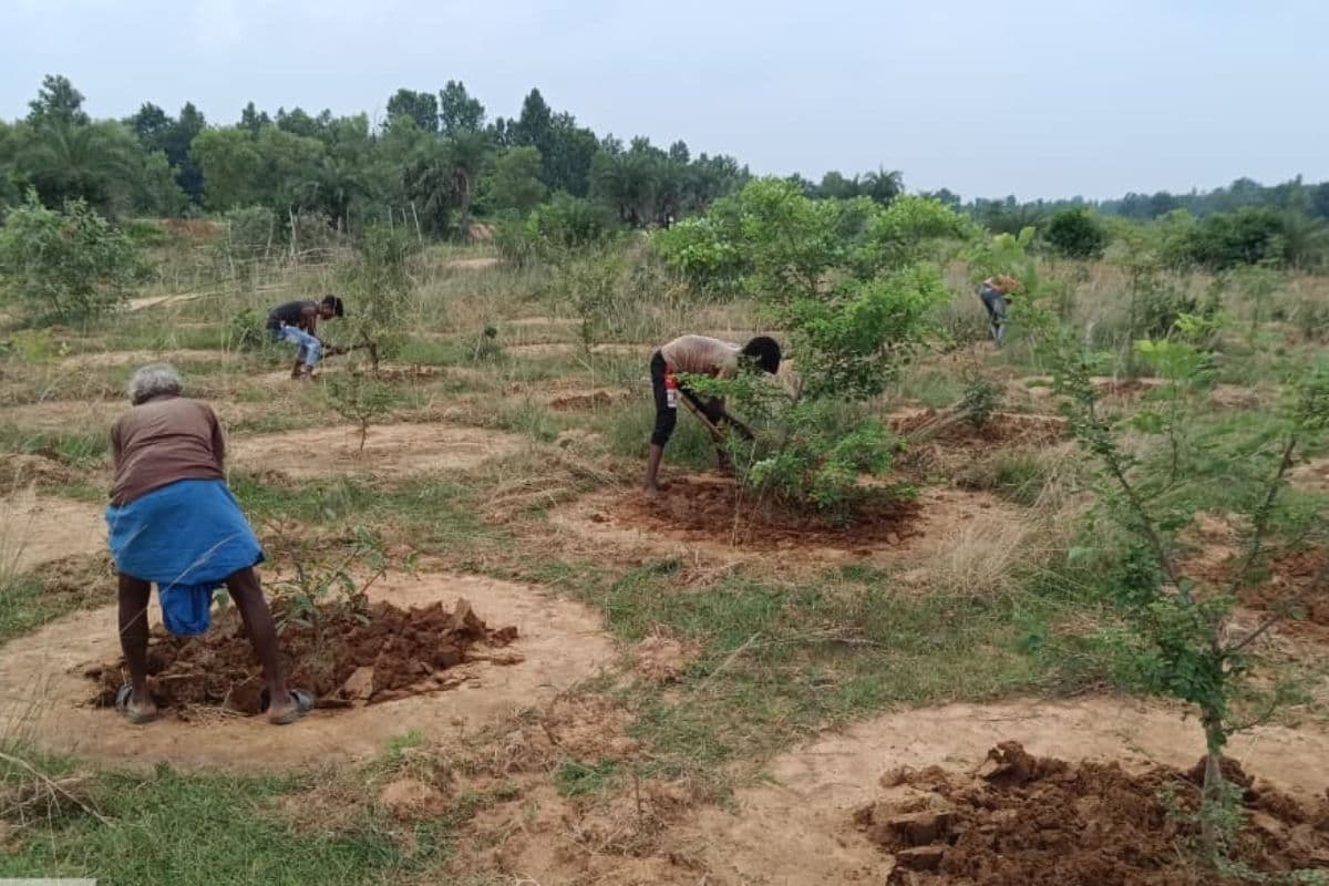 बौंसी बनेगा हरियाली का हब, ‘हरियाली लाओ, धरती बचाओ’ अभियान से सजेगा पूरा प्रखंड