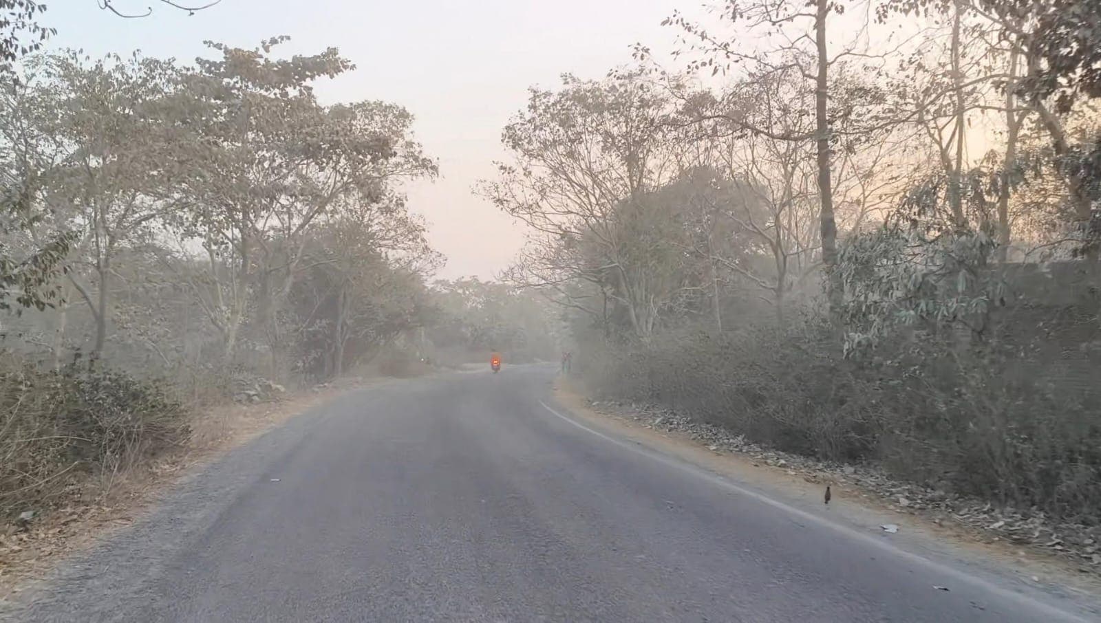 हवा में जहर घोल रहा है क्रशरों व वाहनों का धूलकण...