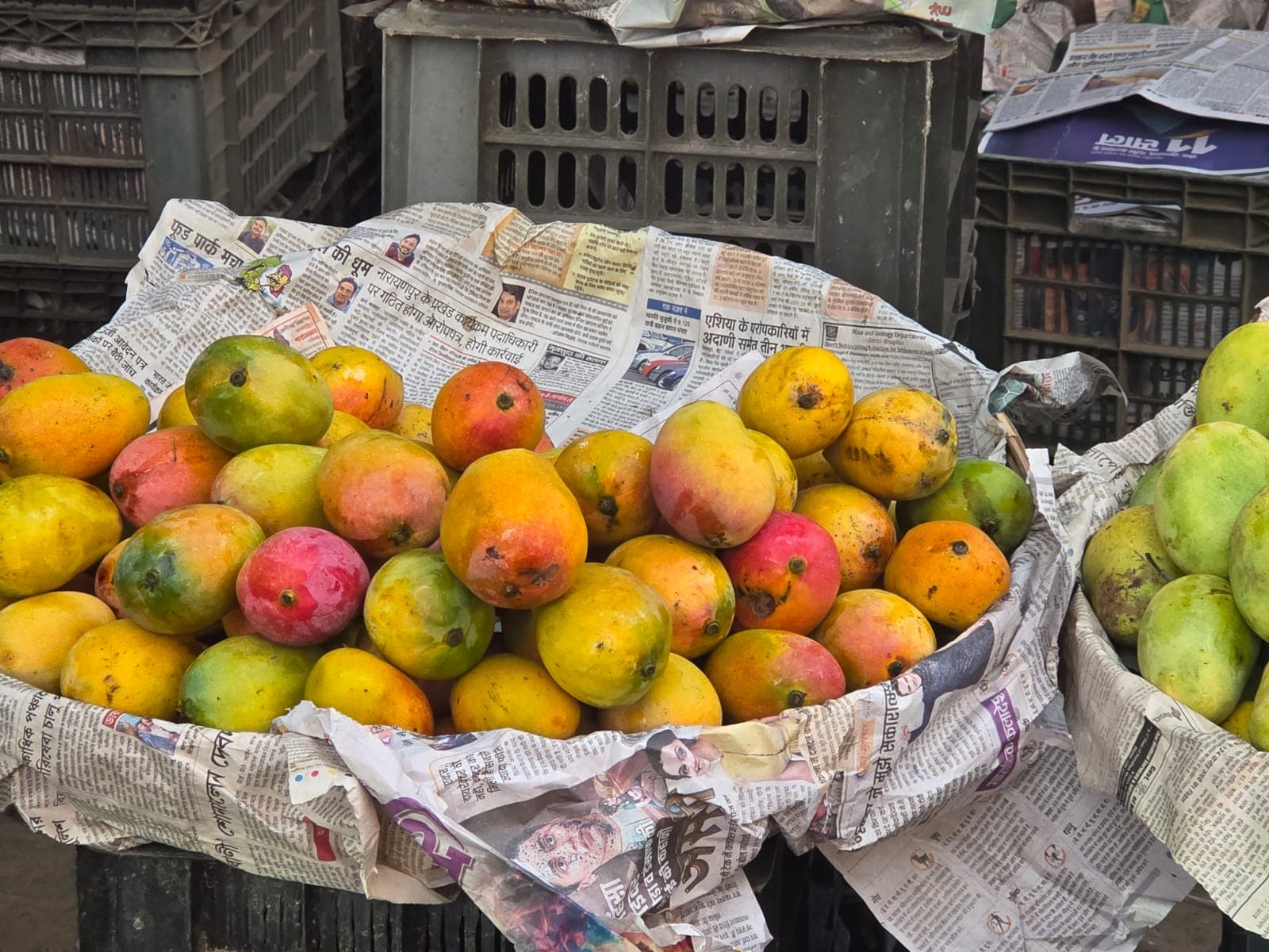 भागलपुर में जर्दालु-गुलाबखास का जलवा, बाजारों में उमड़ रही भीड़