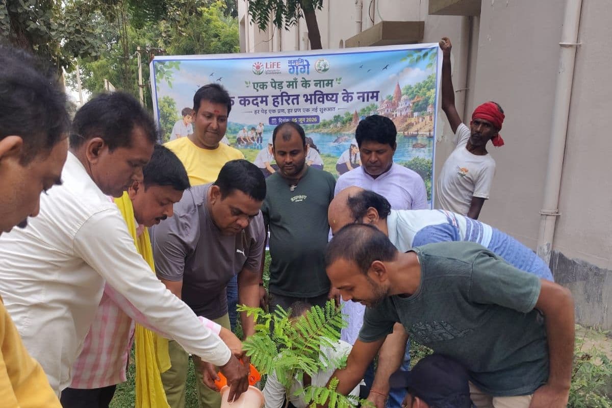 विश्व पर्यावरण दिवस : कटोरिया सीएचसी से हरियाली का संदेश, लगाये गये नीम, पीपल व गुलमोहर के पौधे