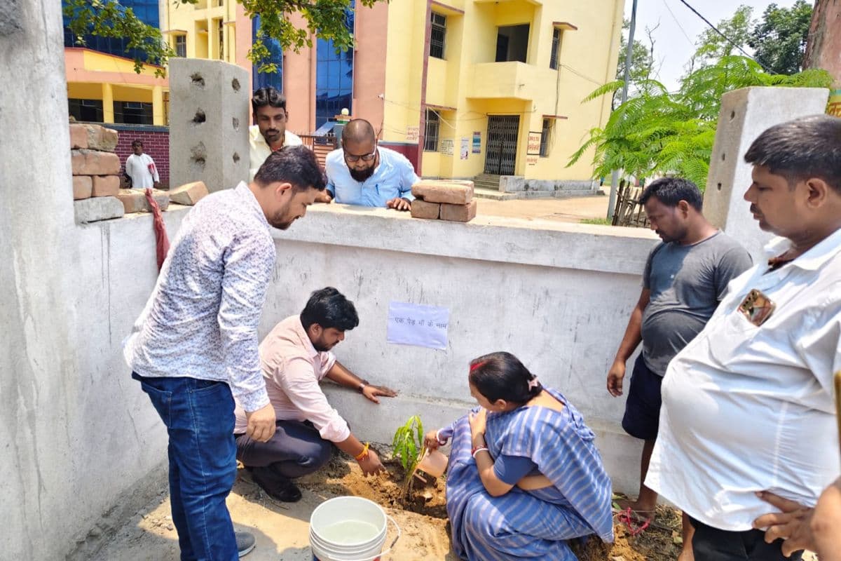 पर्यावरण दिवस पर धोरैया में बीडीओ ने लगाये पौधे, लोगों से की हरियाली बढ़ाने की अपील