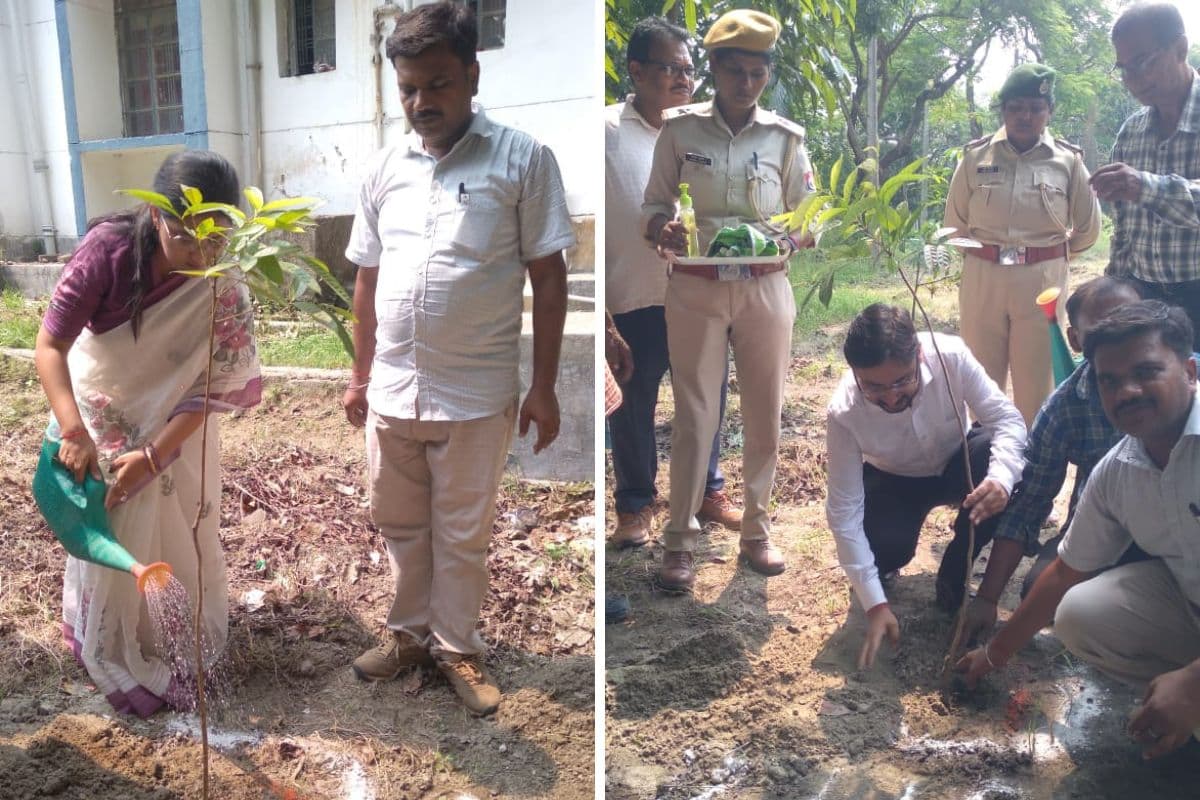 विश्व पर्यावरण दिवस पर नवगछिया कोर्ट परिसर से भी हरियाली बढ़ाने का दिया गया संदेश
