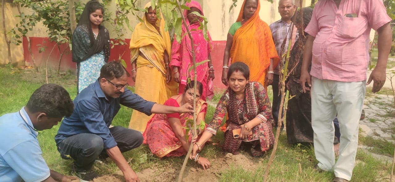 भदौल-बुधमा पंचायत भवन में पौधरोपण, ग्राम सभा आयोजित