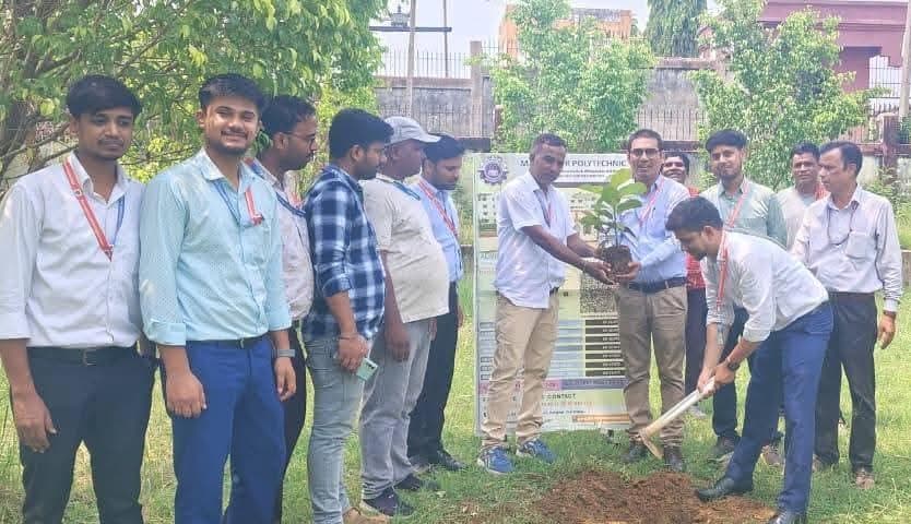 पॉलिटेक्निक कॉलेज में 40 पौधों से बढ़ेगी हरियाली