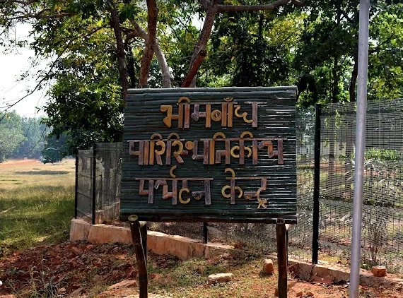 भीमबांध अभ्यारण्य में चीता, तेंदुआ, भालू समेत मौजुद हैं कई वन्य जीव प्रजातियां