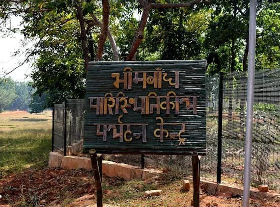 भीमबांध अभ्यारण्य में चीता, तेंदुआ, भालू समेत मौजुद हैं कई वन्य जीव प्रजातियां