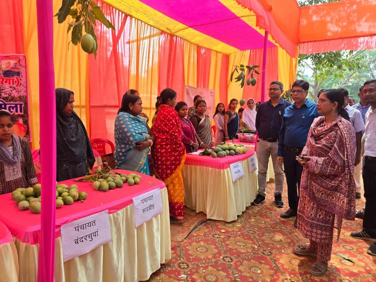 आम की बागवानी से आर्थिक स्थिति में हुआ है सुधार : प्रभारी बीडीओ