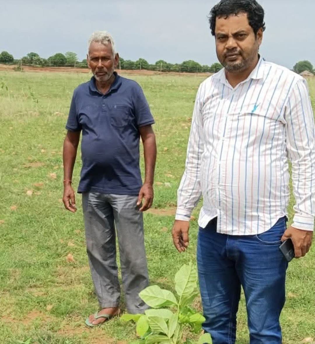 सीरियां जंगल के 30 हजार पौधों की रक्षा को वन विभाग सतर्क