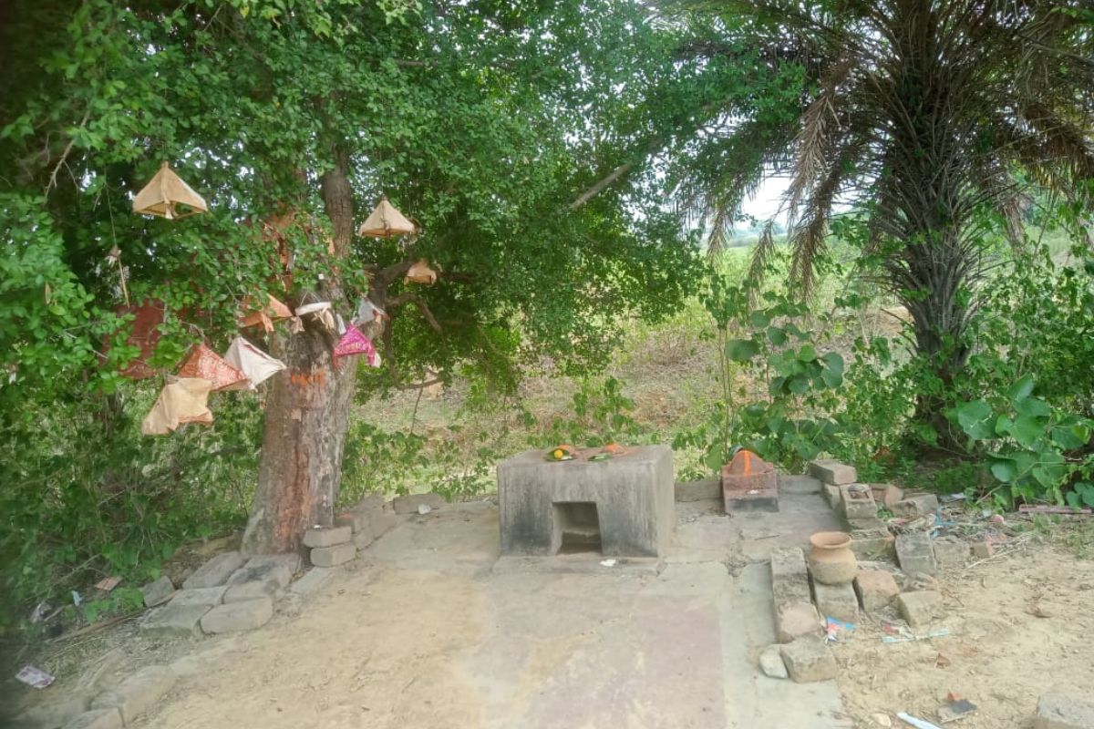 लखीसराय के किसानों के रक्षक बाबा तड़ाचंद, फसल की सुरक्षा के लिए आज भी लगती है हाजिरी