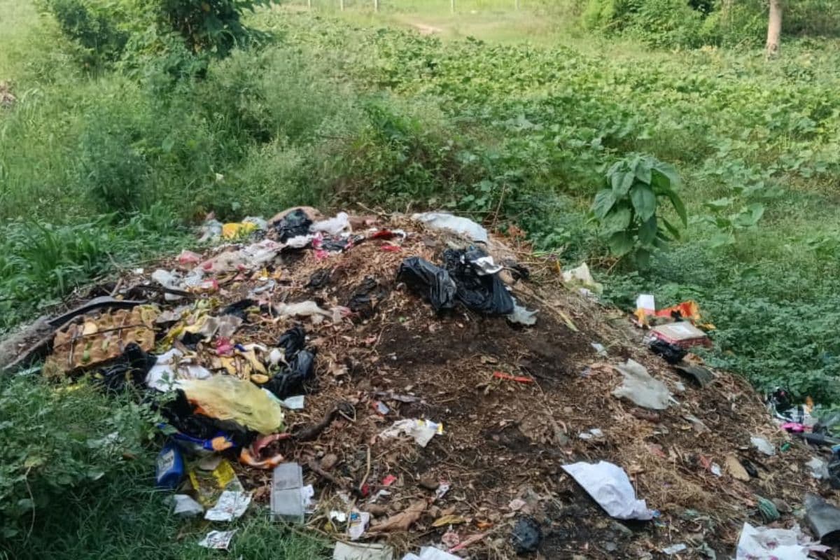 लखीसराय में लाखों खर्च, अभियान भी चला, फिर भी नहीं बदली तस्वीर, गढ़ी बिशनपुर में कचरे के ढेर पर दम तोड़ रही स्वच्छता योजना