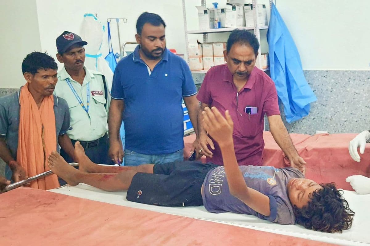 बांका में तारकुन फल तोड़ने गया था किशोर, सीढ़ी टूटते ही ताड़ पेड़ से नीचे गिरा